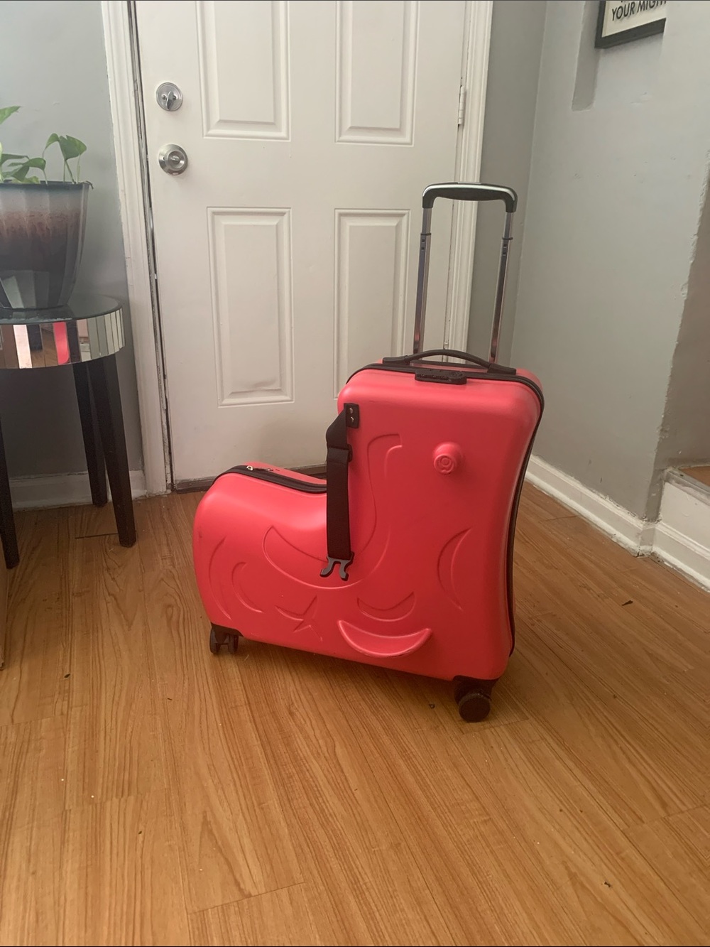 Hard Shell ride on

Suitcase in Bright Pink